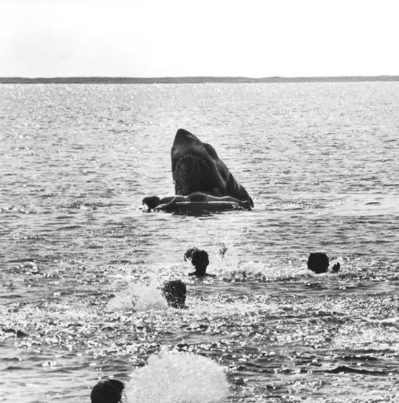 Jaws - Production Still, Top 10 Films