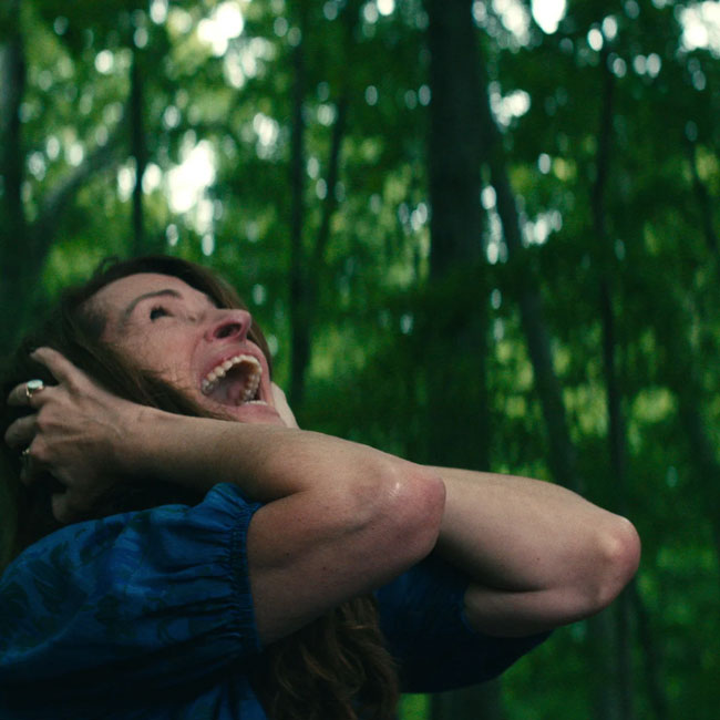 Julia Roberts holds her hands to her ears and screams in fear in the 2023 film, Leave the World Behind.
