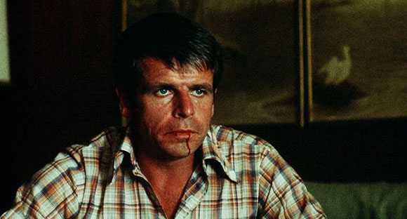 Rolling Thunder, William Devane
